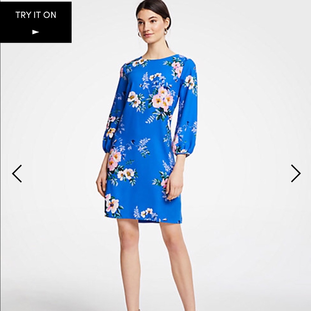 Ann Taylor Poppy lantern sleeve shift dress 12p-0O